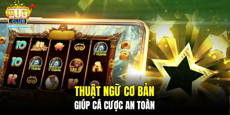 Thuật ngữ cơ bản giúp cá cược an toàn